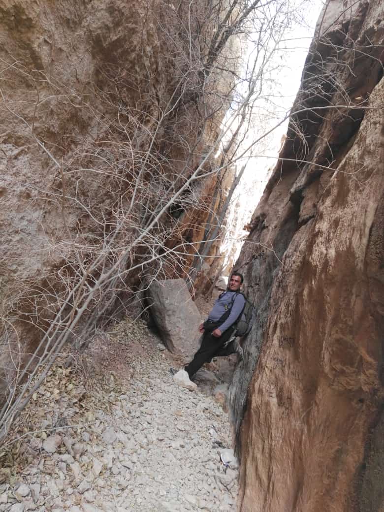 تصویری از محمد حسین حق جو