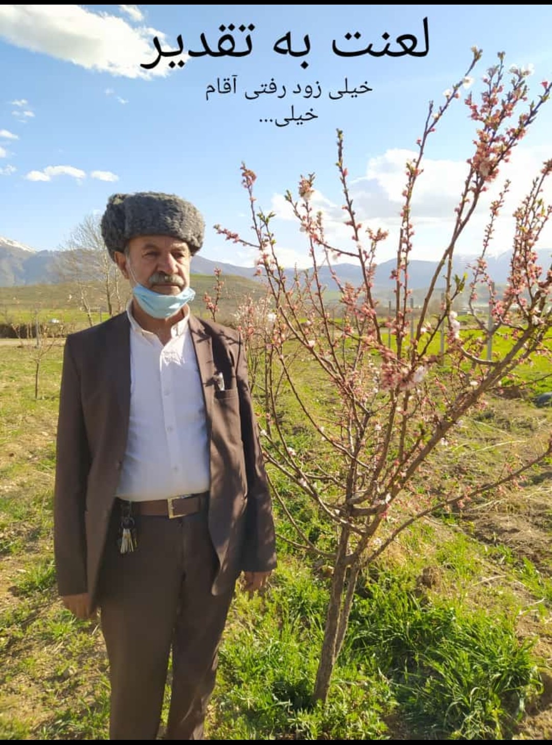 تصویری از صفر پاپی