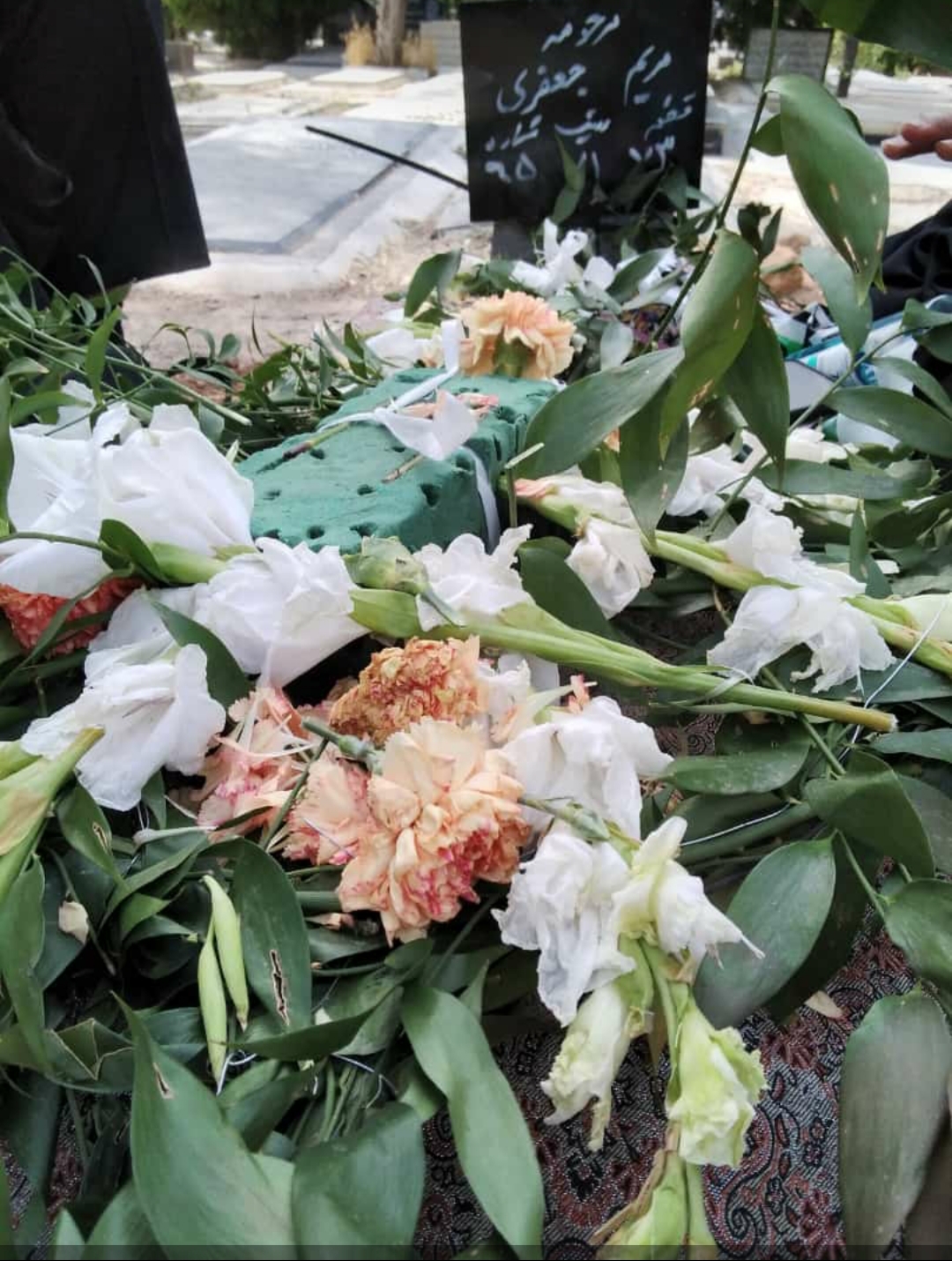تصویری از مریم جعفری