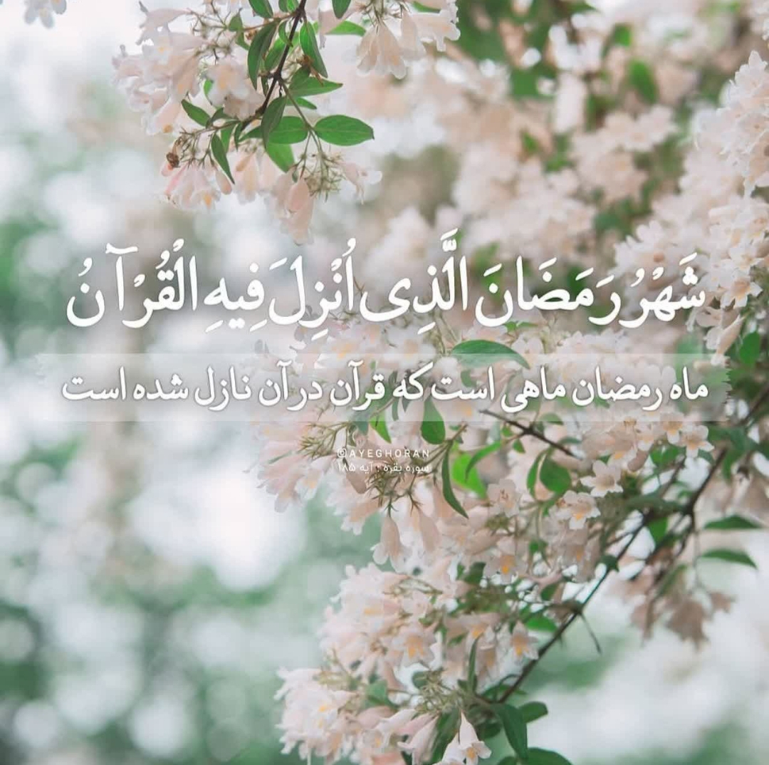 تصویری از کربلائی قربانعلی احمدی
