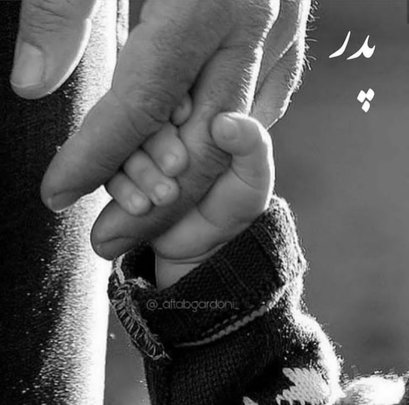 تصویری از جناب آقای علی جلیلی