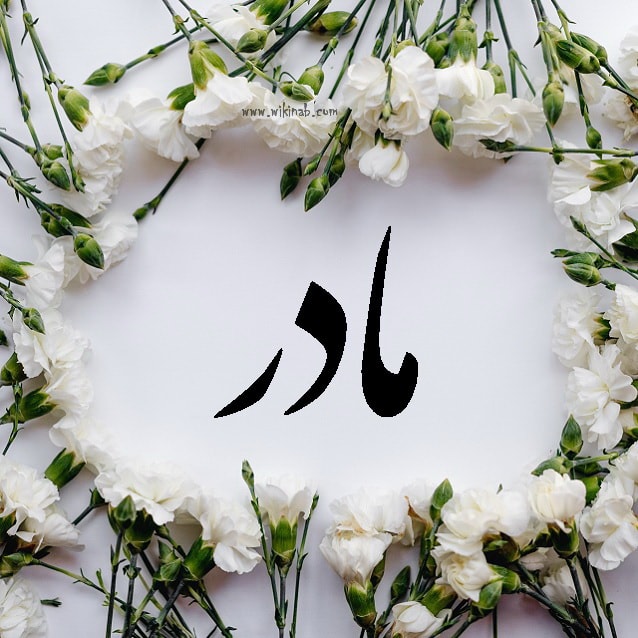 تصویری از لیلا بورقانی فراهانی