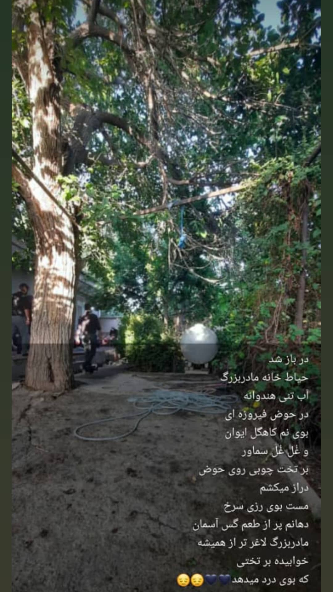 تصویری از خانم بالا یکه دهقان