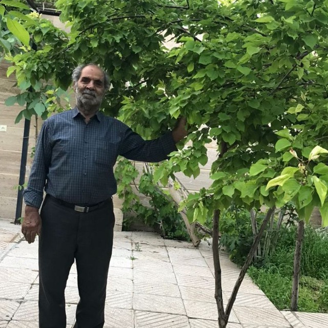 تصویری از قادر جباری