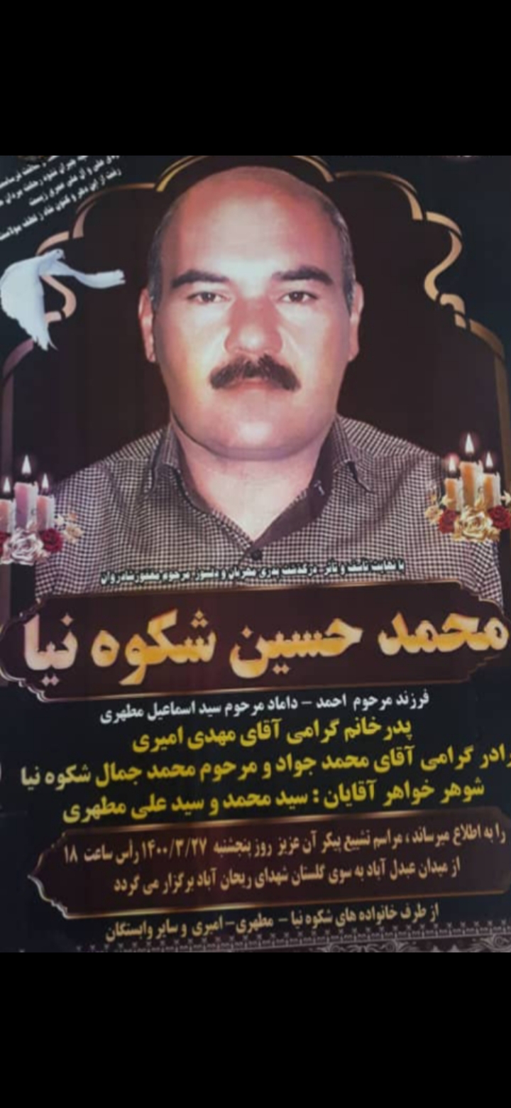 تصویری از محمدحسین شکوهنیا