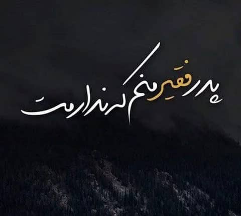 تصویری از رضا ولی