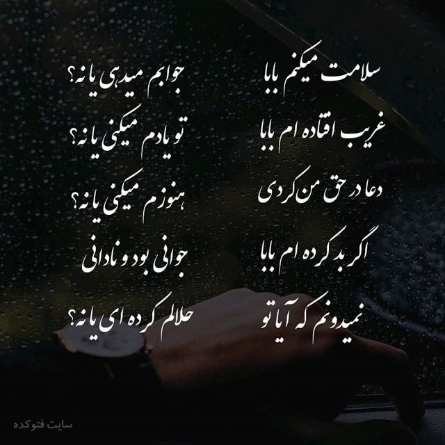 تصویری از رضا ولی