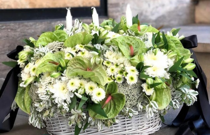 تصویری از معصومه سادات قاسمی