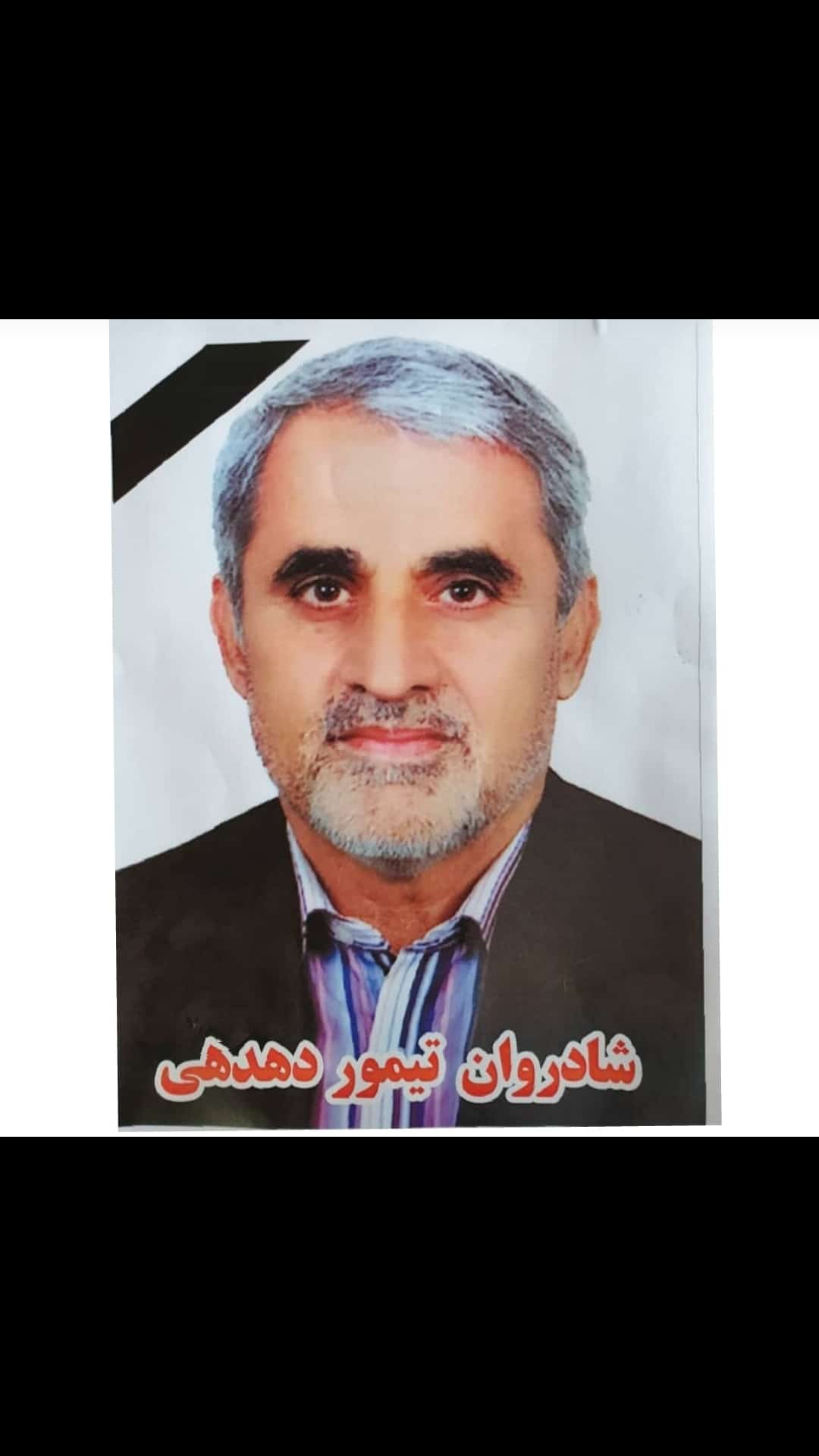 تصویری از تیمور دهدهی