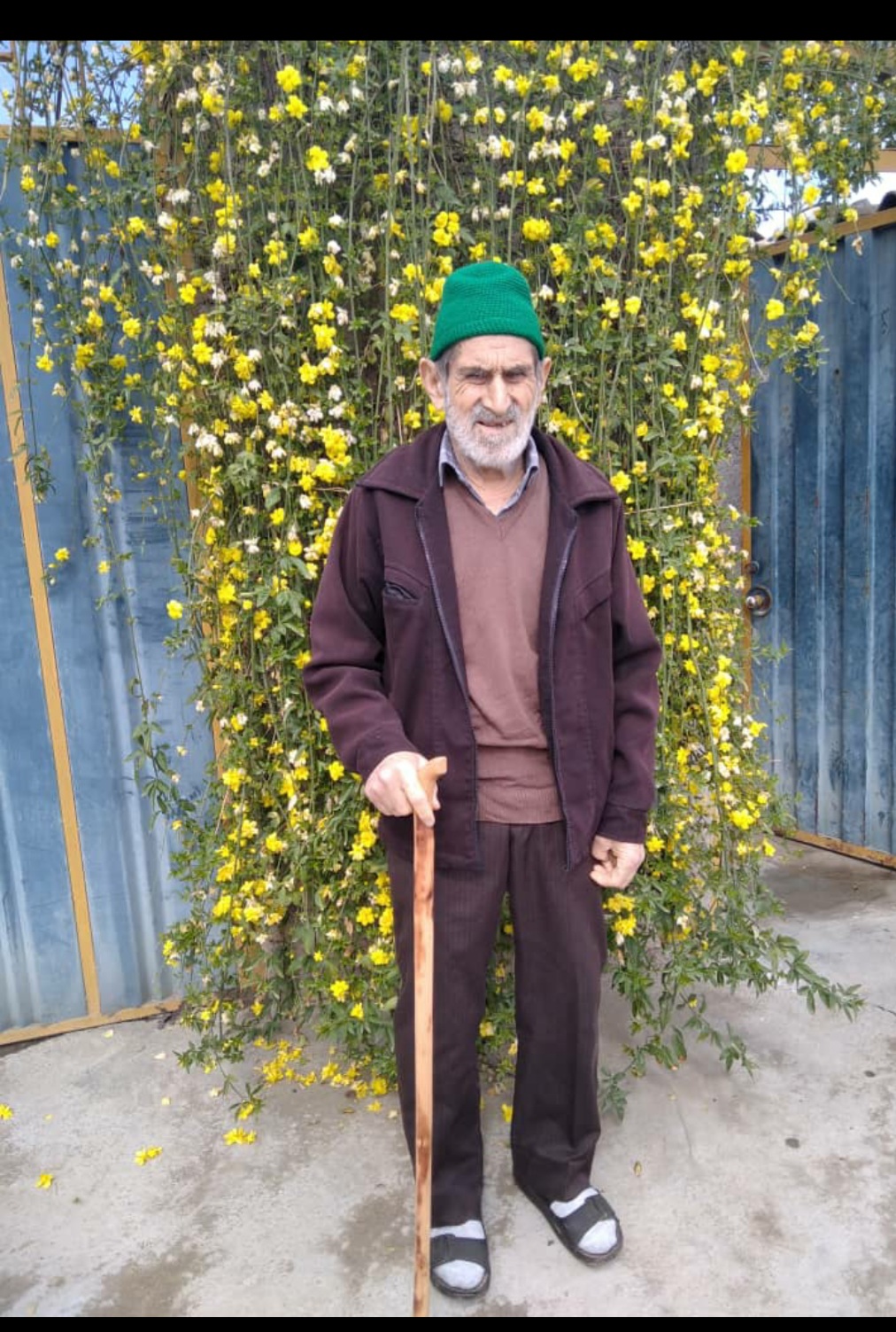 تصویری از سیدمصیب حسینی