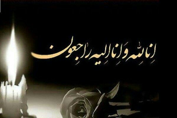 تصویری از عبدالحمید علامی