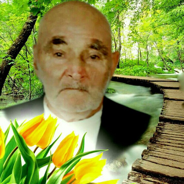 تصویری از قاسم غفاری