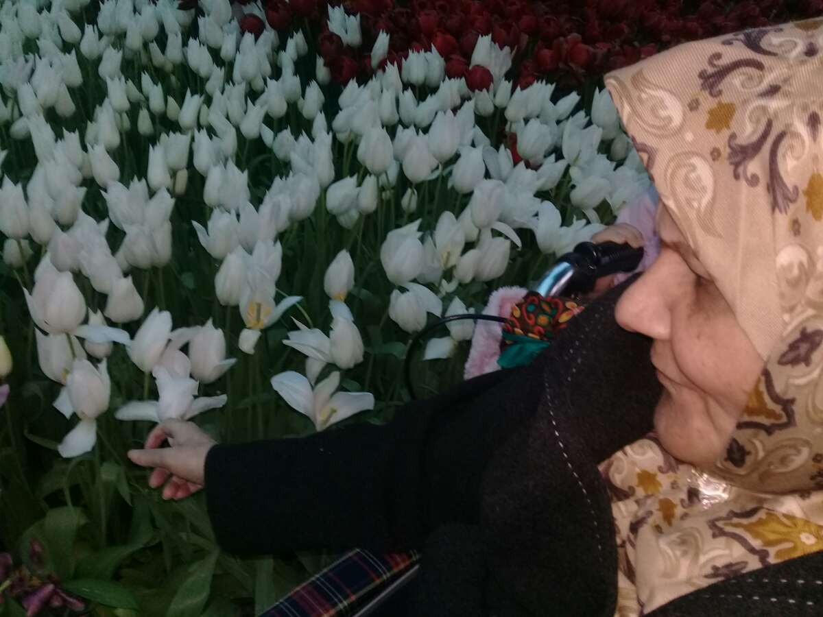 تصویری از فاطمه شریفی جبلی