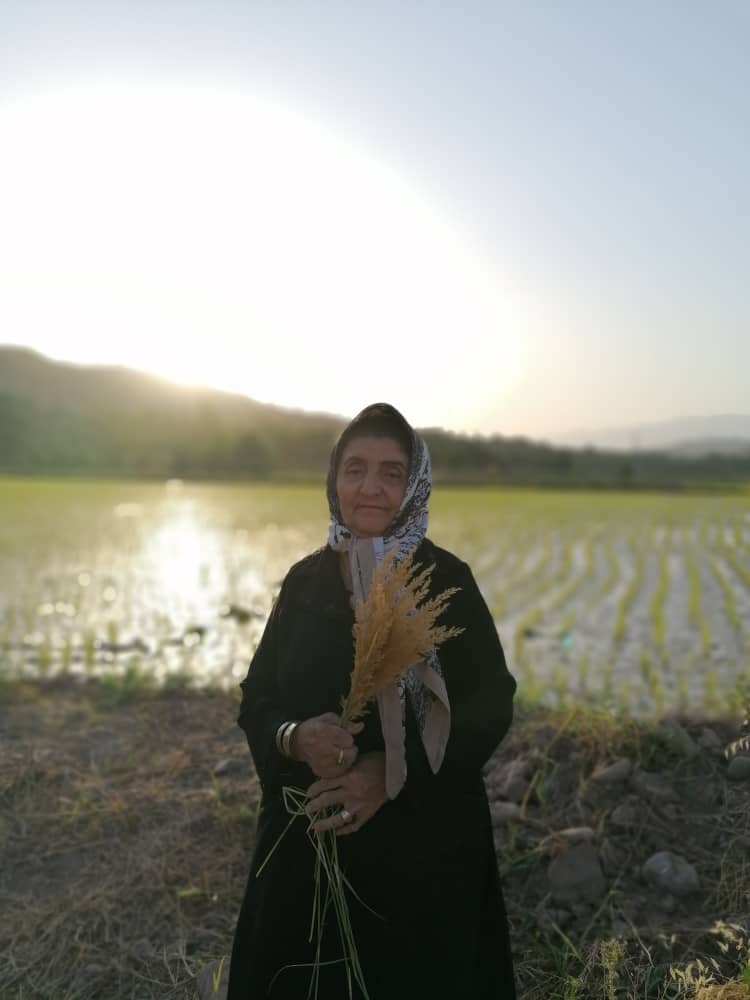 تصویری از ذوبیده خوئینی