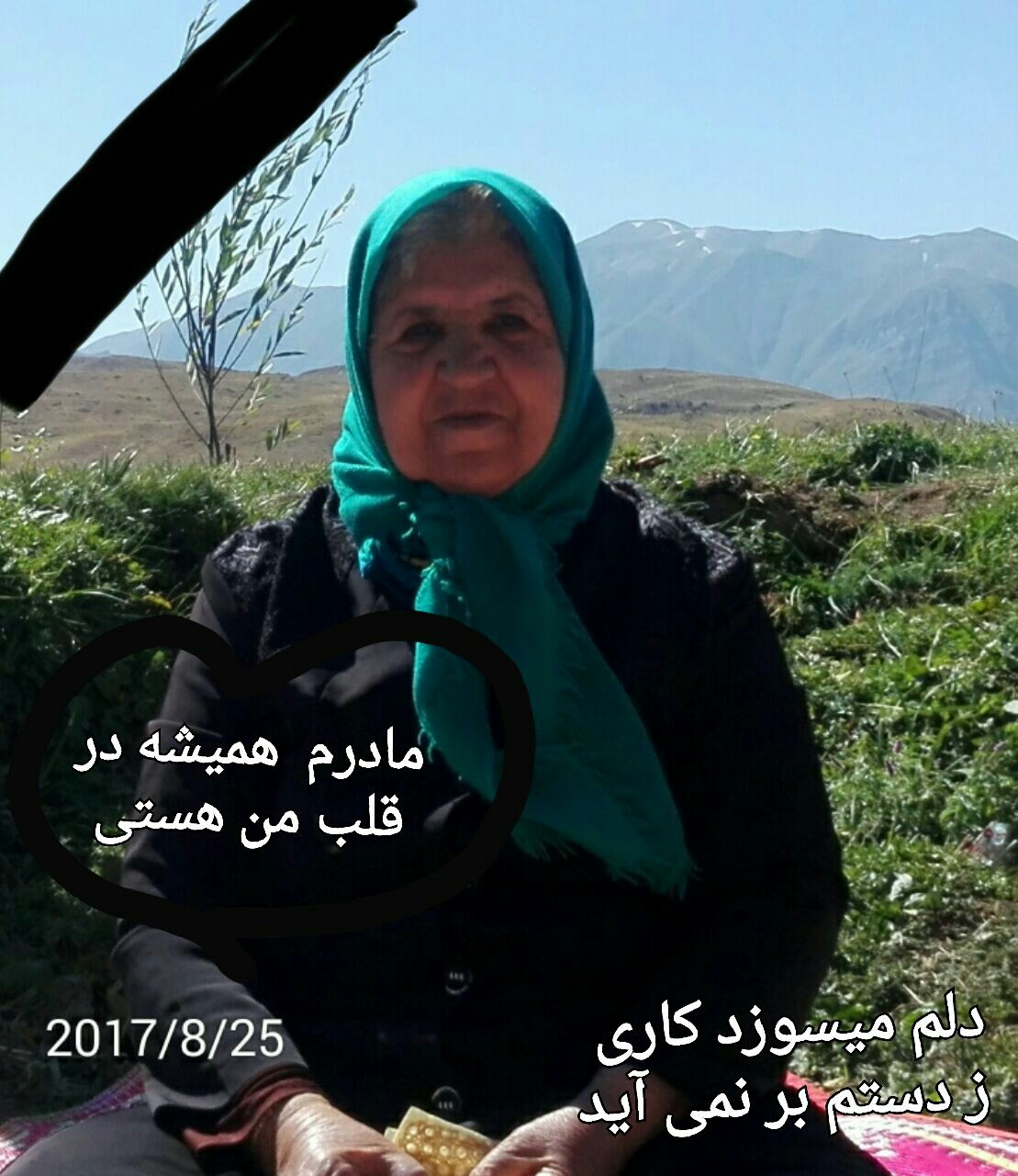 تصویری از کربلایی زرین دخت باقری