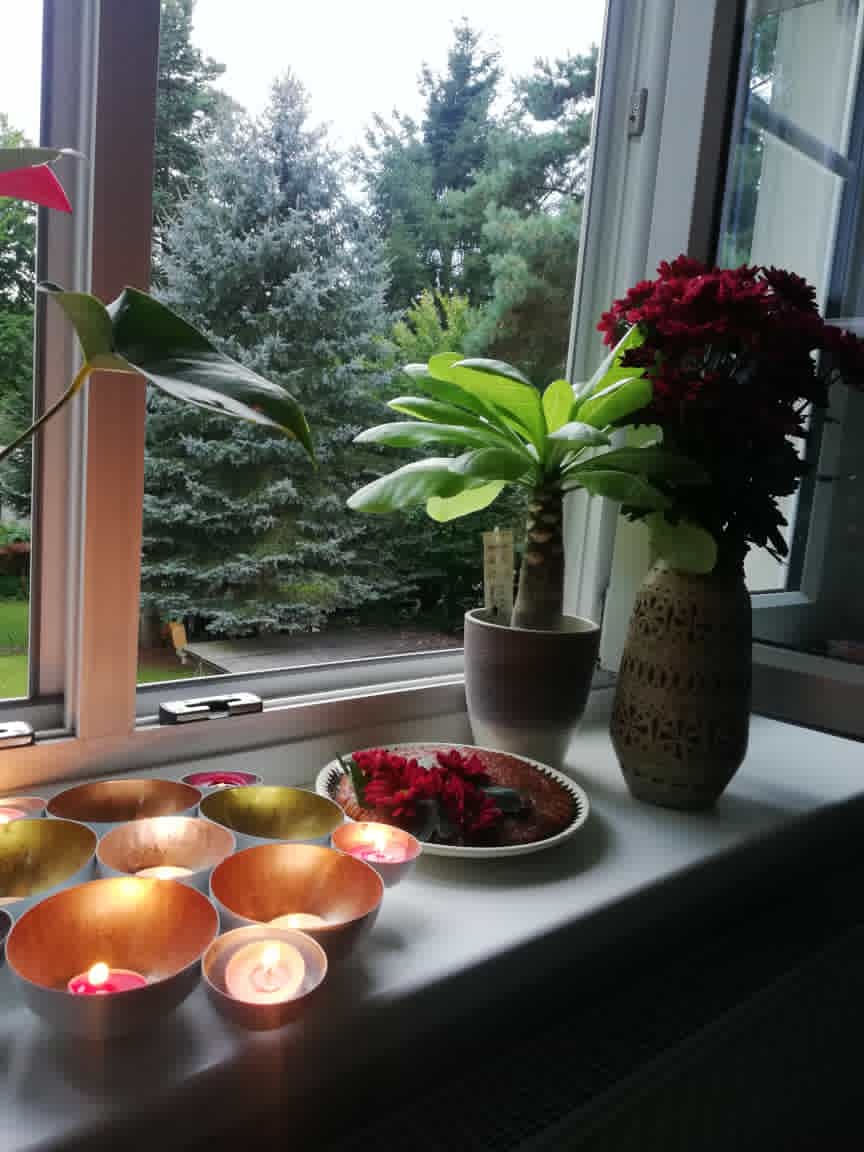 تصویری از فرنوش شکوهی