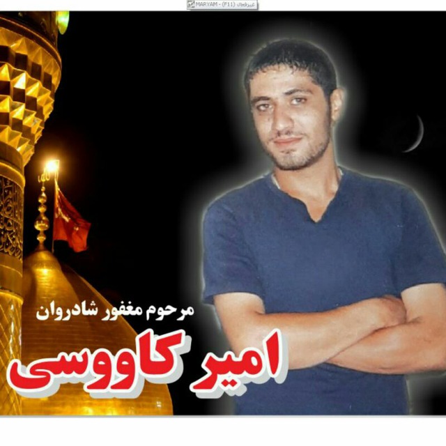 تصویری از امیر کاووسی