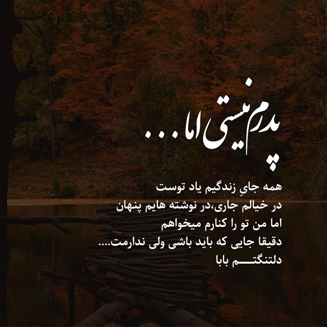 تصویری از مصطفی عربی شیرازی