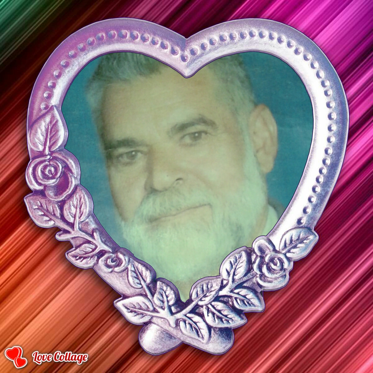 تصویری از محمد حسین علیپور