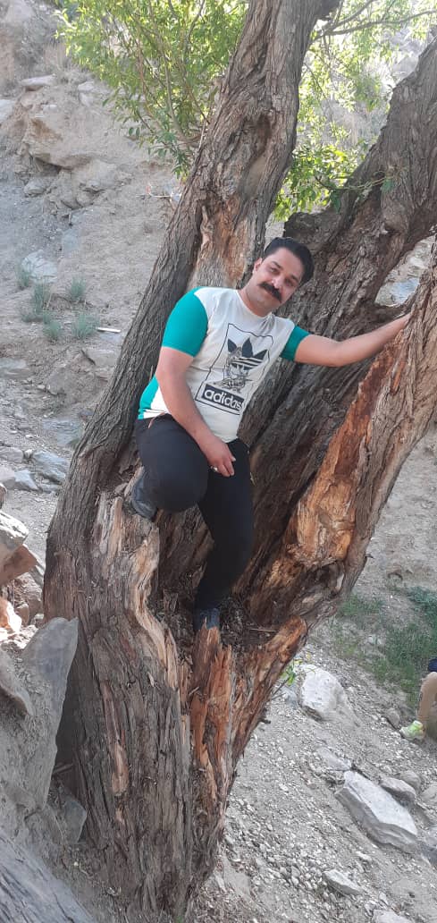 تصویری از امین سلطانی