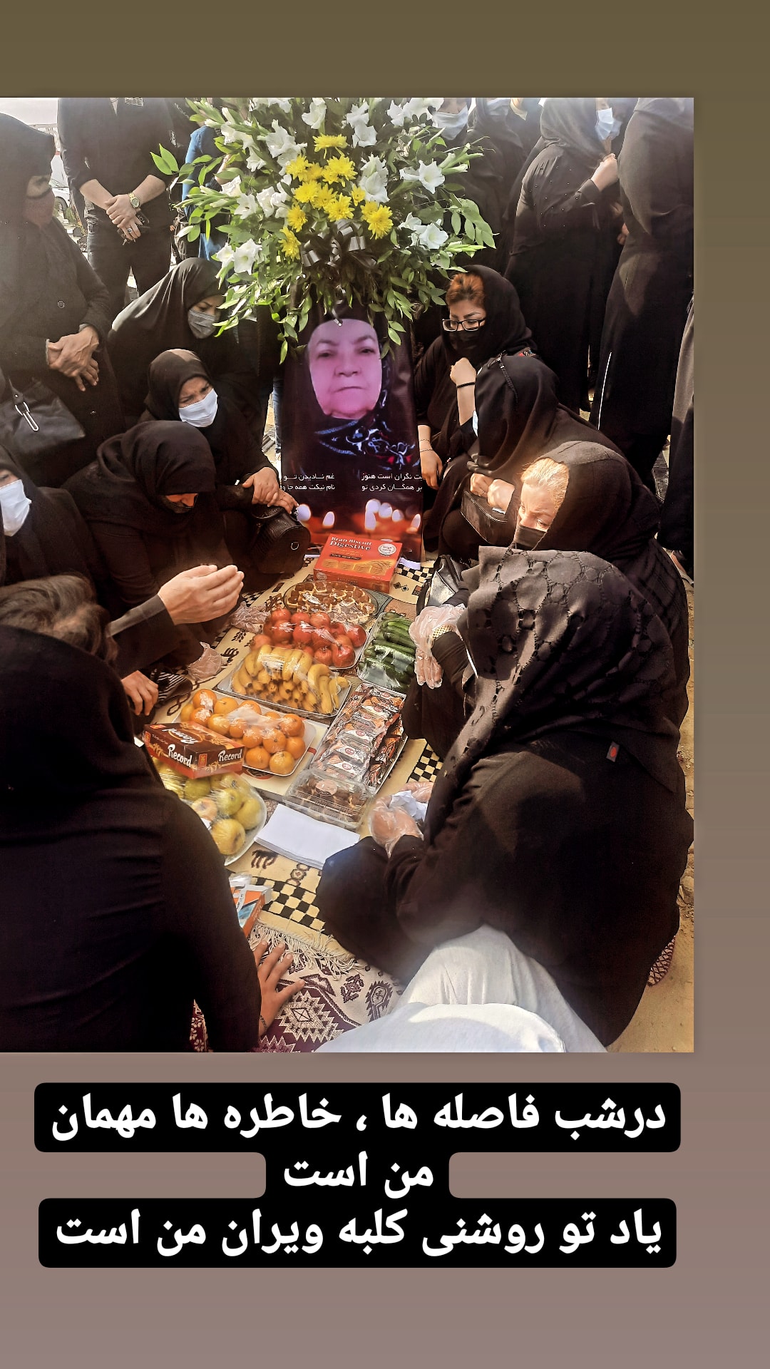 تصویری از گل اندام شامحمدی
