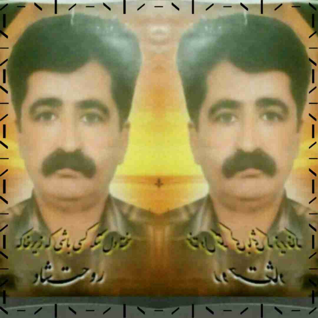 تصویری از حمیدرضا داوری دولت آبادی