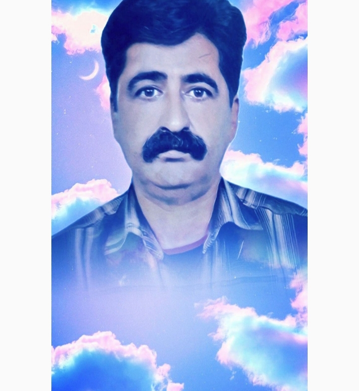 تصویری از حمیدرضا داوری دولت آبادی