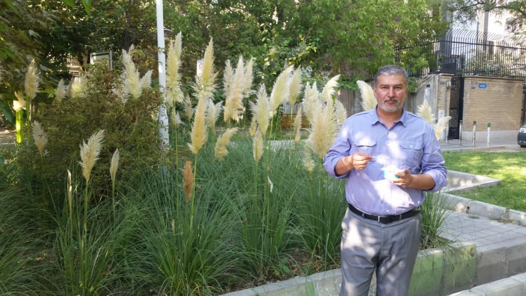 تصویری از مسعود دبیر وزیری
