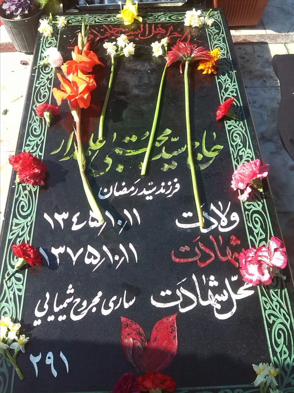 تصویری از سید مجتبی علمدار