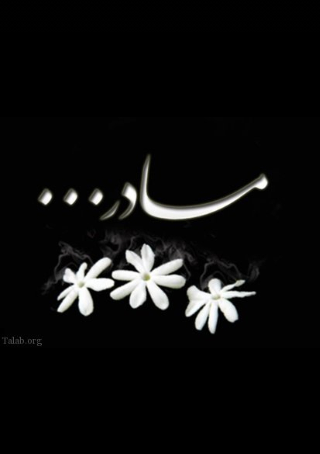 تصویری از مادری دلسوز  و مهربان تازه سفر کرده بانو فردوس عسکری