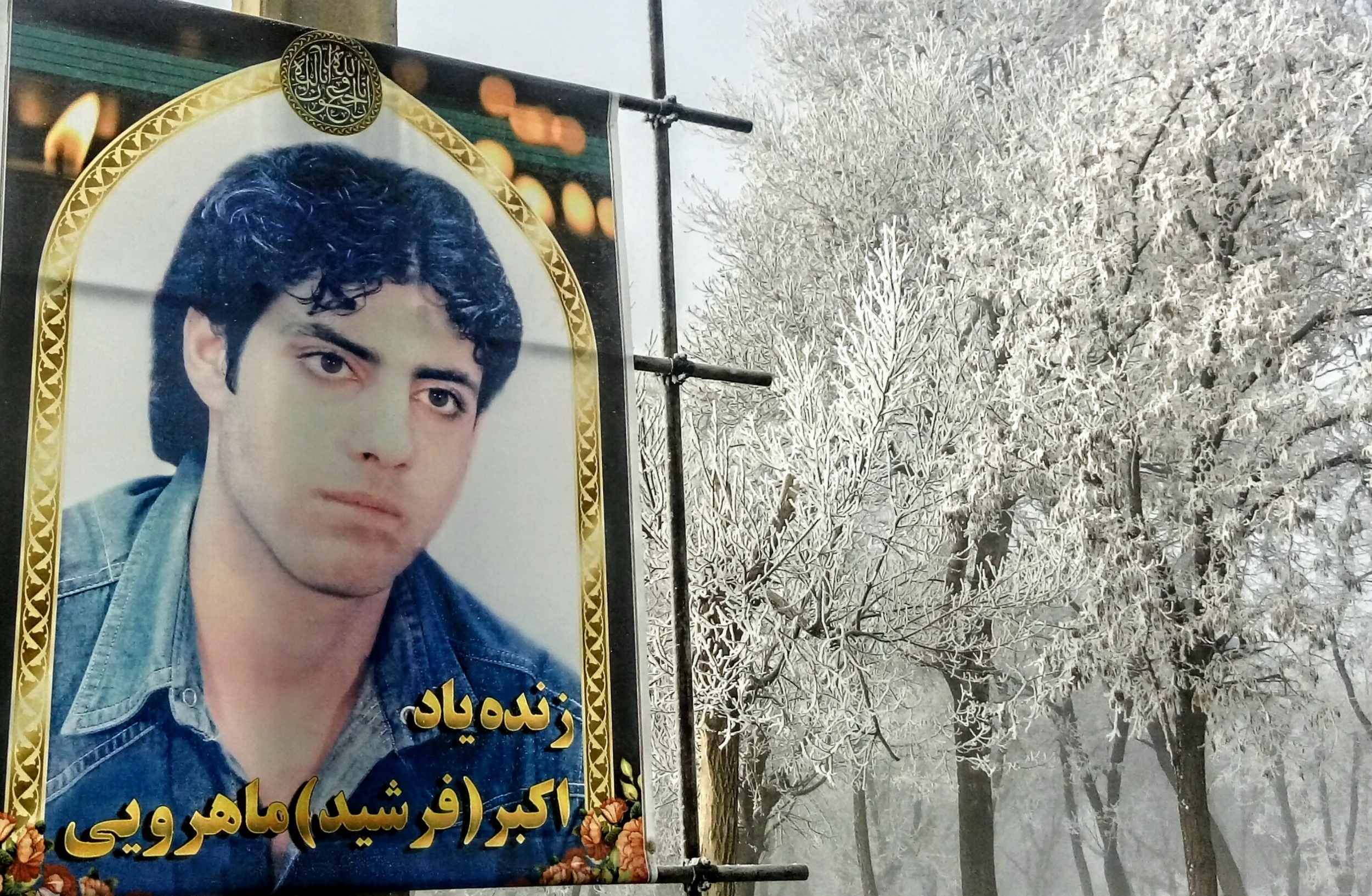 تصویری از فرشید یا اکبر ماهرویی