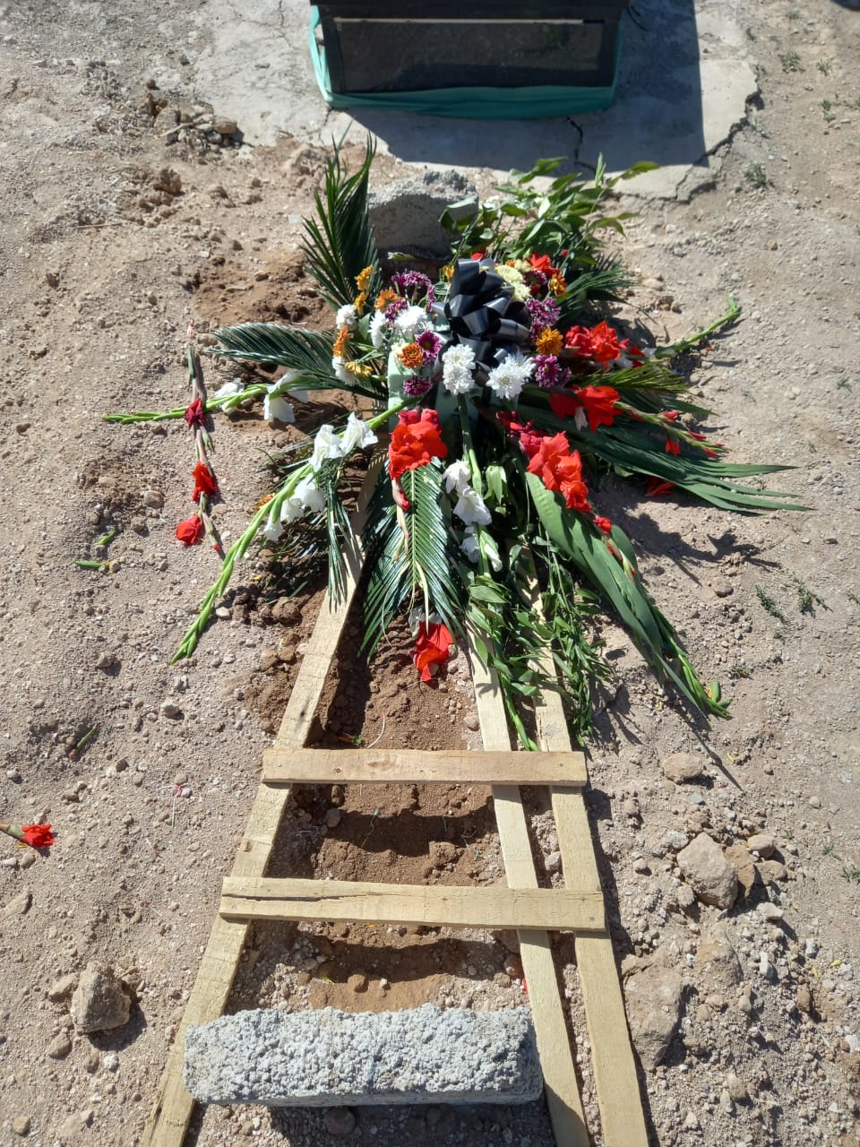 تصویری از کربلایی علی سرداری