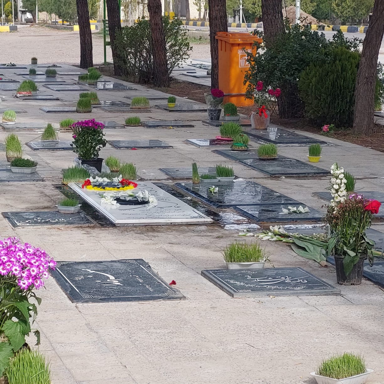 تصویری از اسمعیل توفیقی