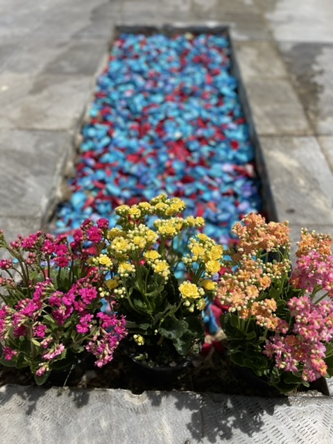 تصویری از مریم شاه محمدی