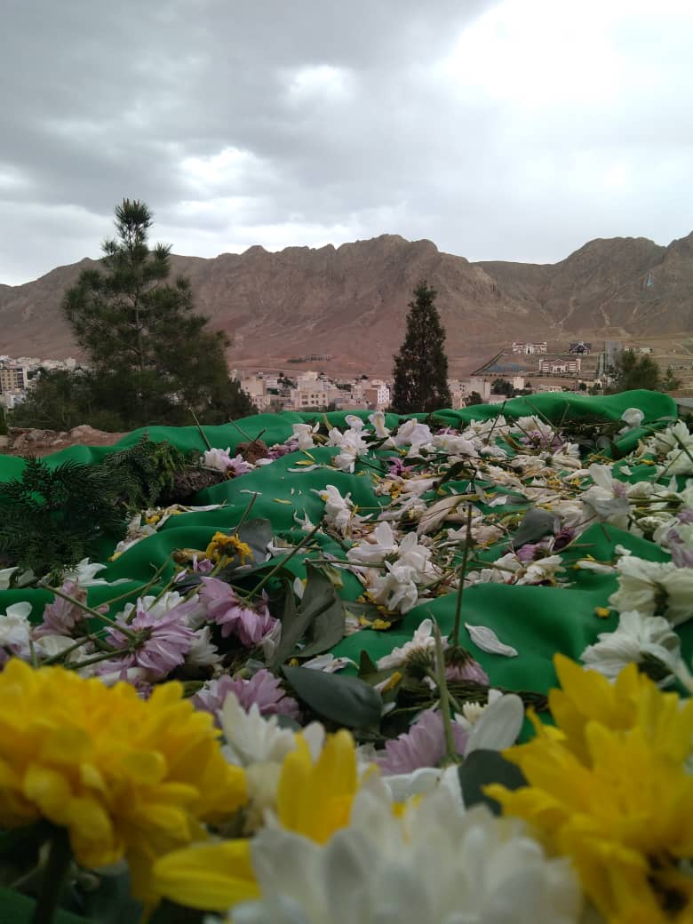 تصویری از سیده مریم بانو متولیان