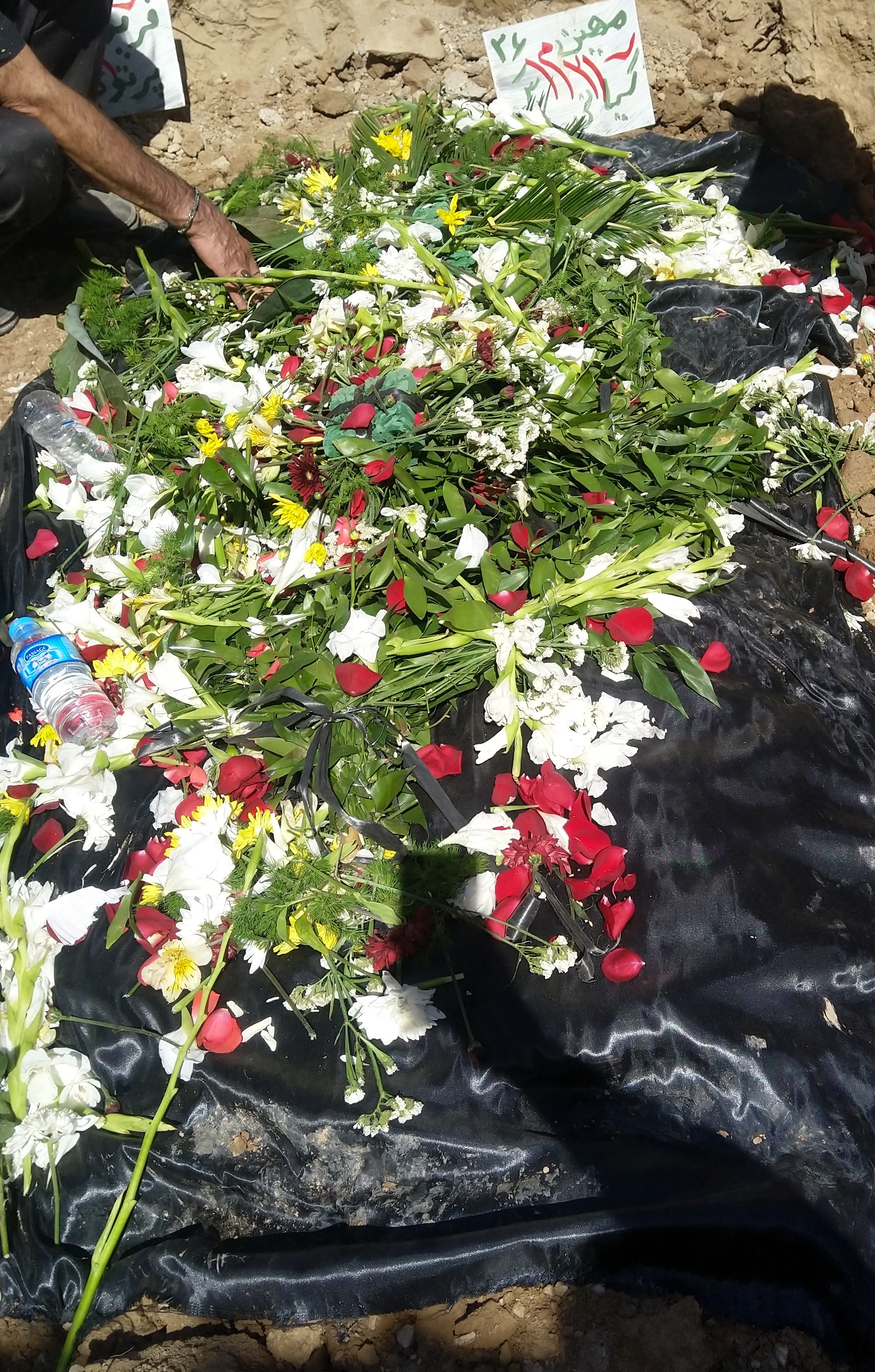 تصویری از مهین کیانی هرچگانی