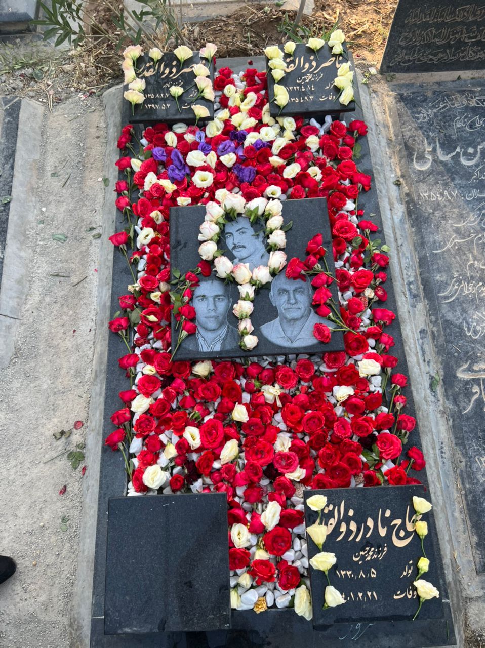 تصویری از نادر ذوالقدر