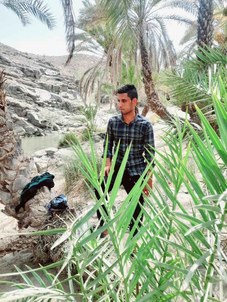 تصویری از معین فلاحی