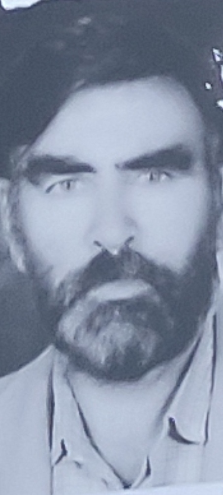 تصویری از تیمور شاکری