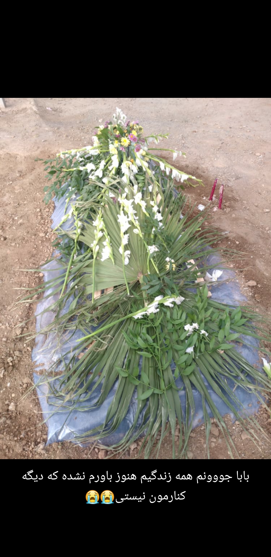 تصویری از میرعباس گودرزی
