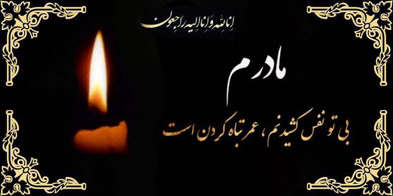 تصویری از مرال شامی