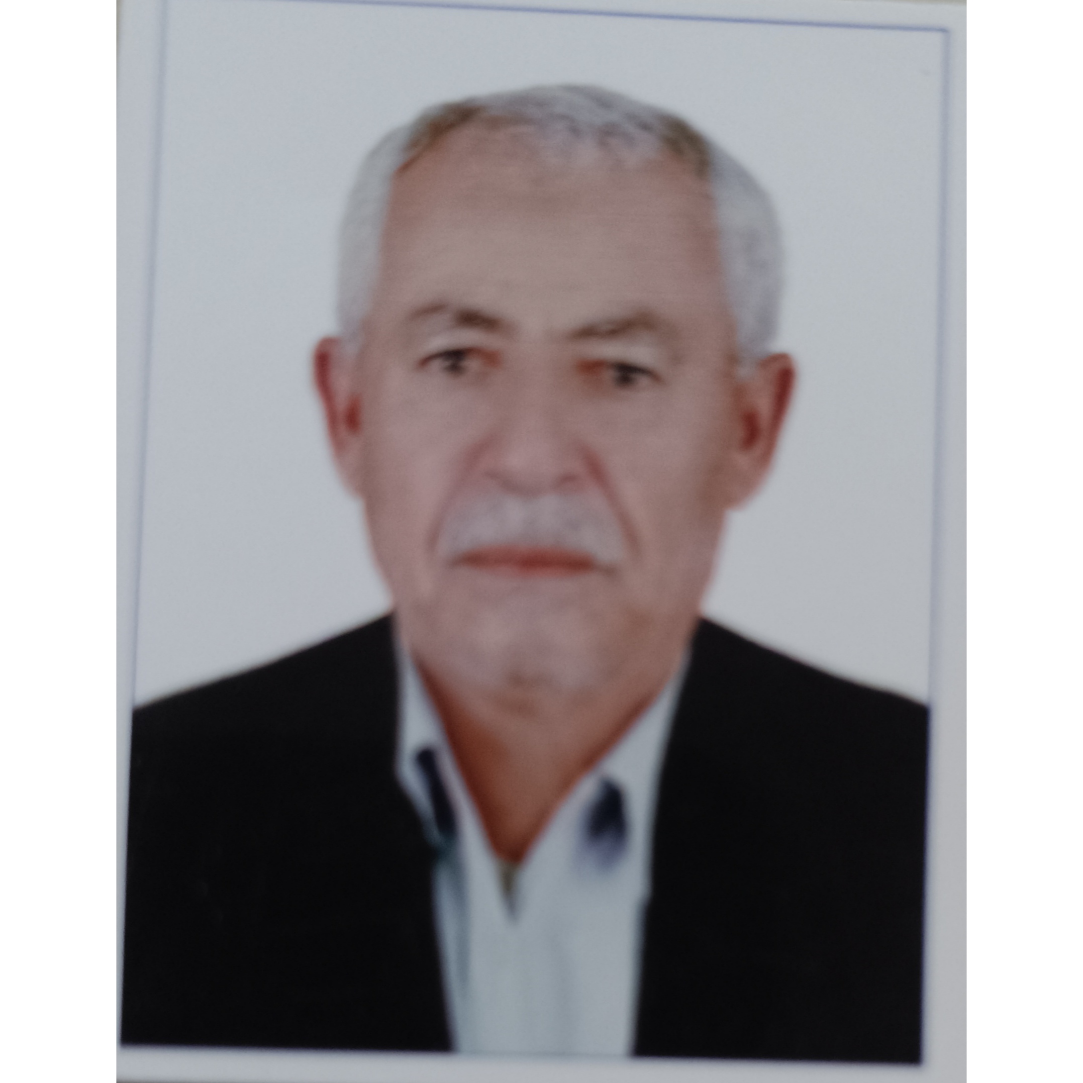 تصویری از سالم محمدی
