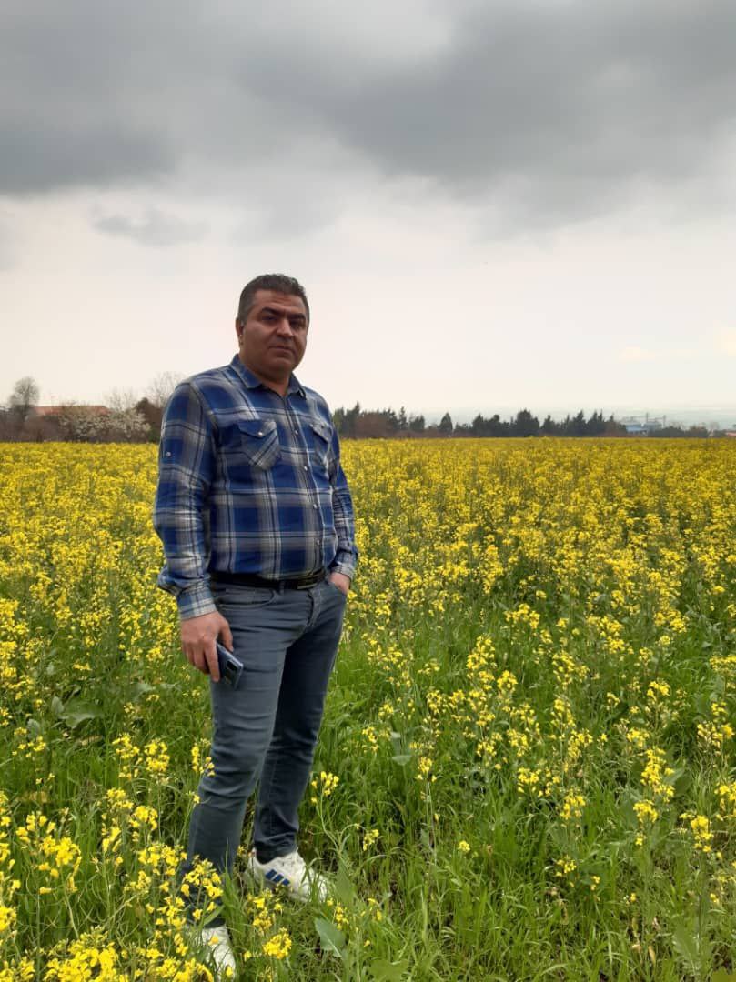 تصویری از محمود تیموری قلندرایش