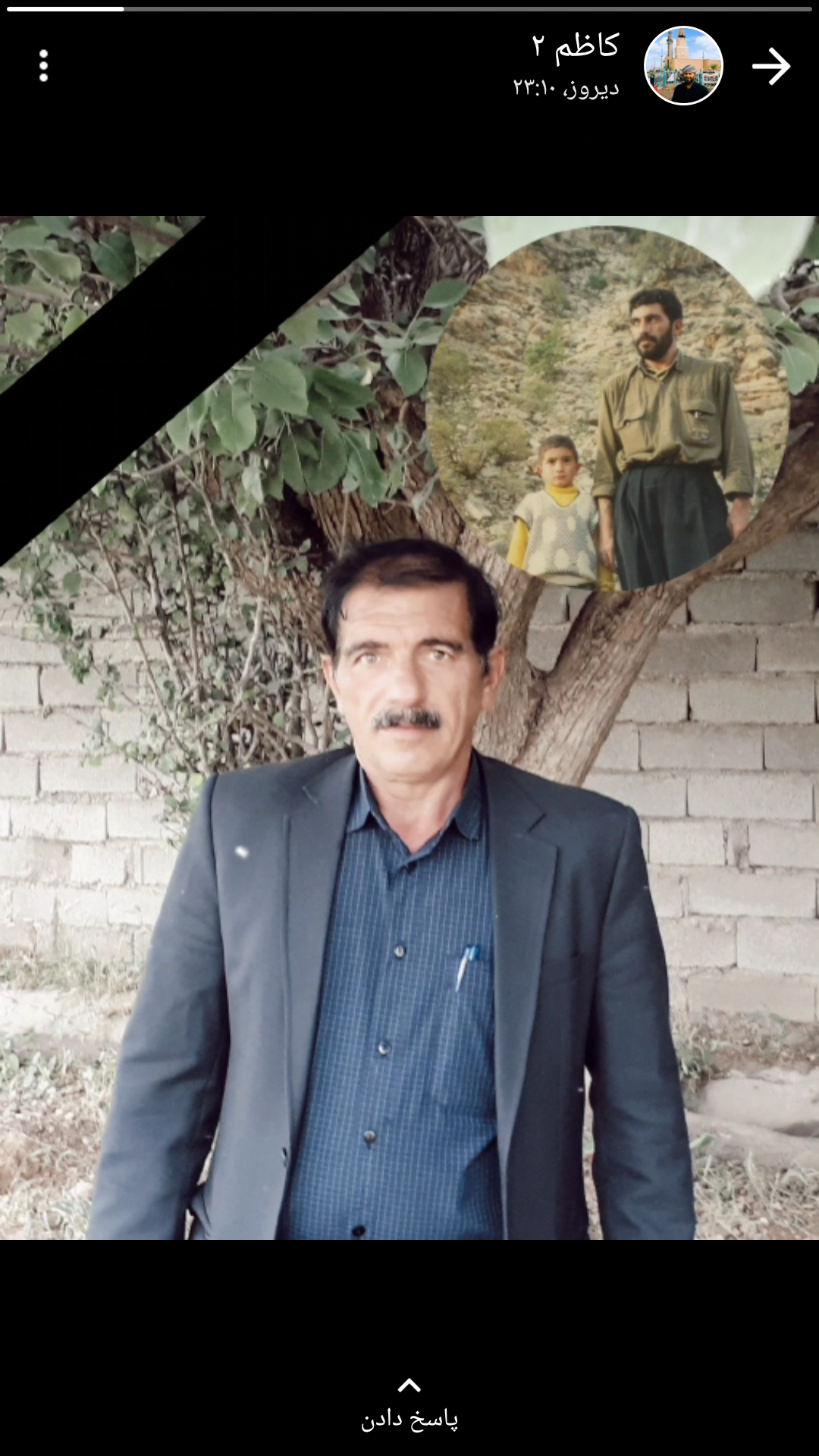 تصویری از اسفندیار شاکری