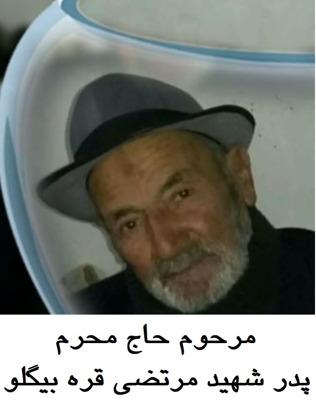تصویری از مرتضی قره بیگلو
