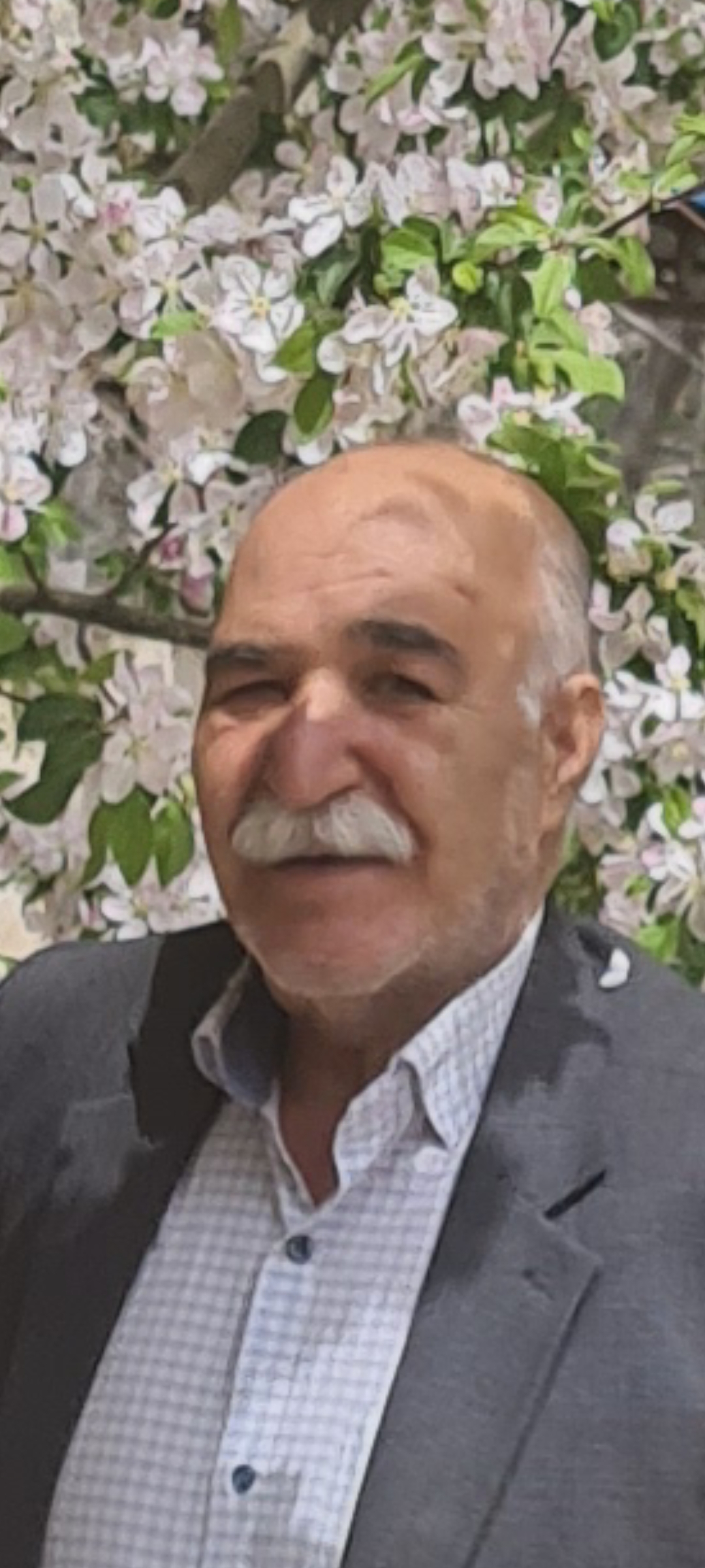 تصویری از محمد حسن شهروی
