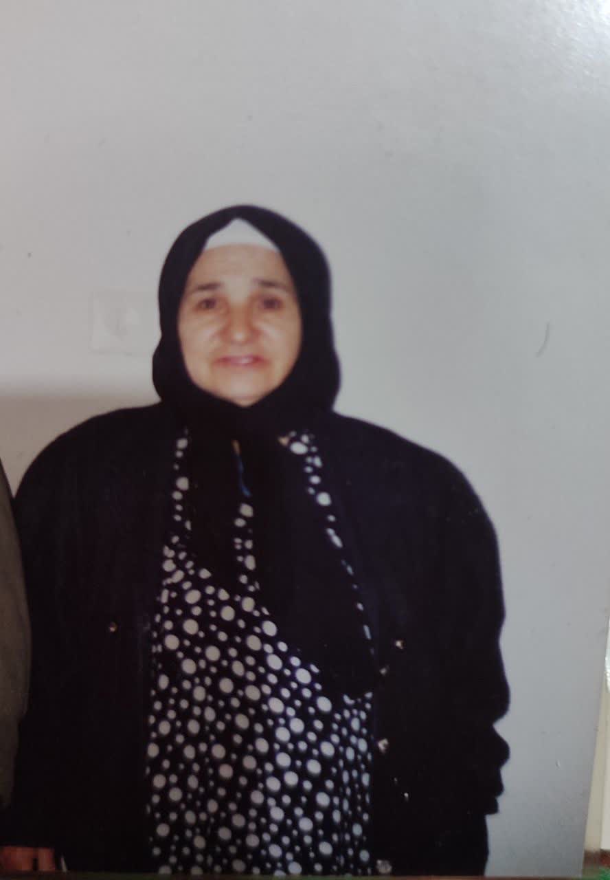 تصویری از حدیقه عزیزی