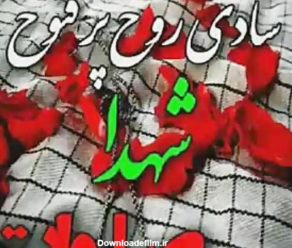 تصویری از محمد هادی ذوالفقاری