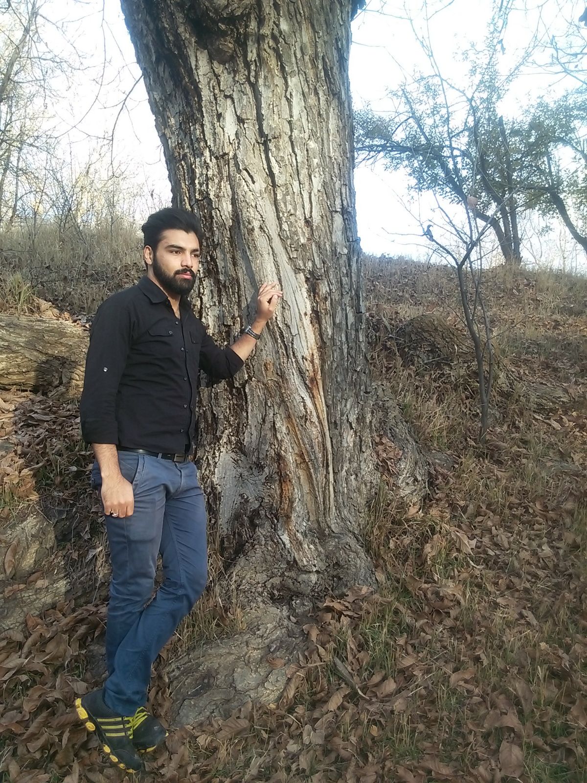 تصویری از سعید تیموری