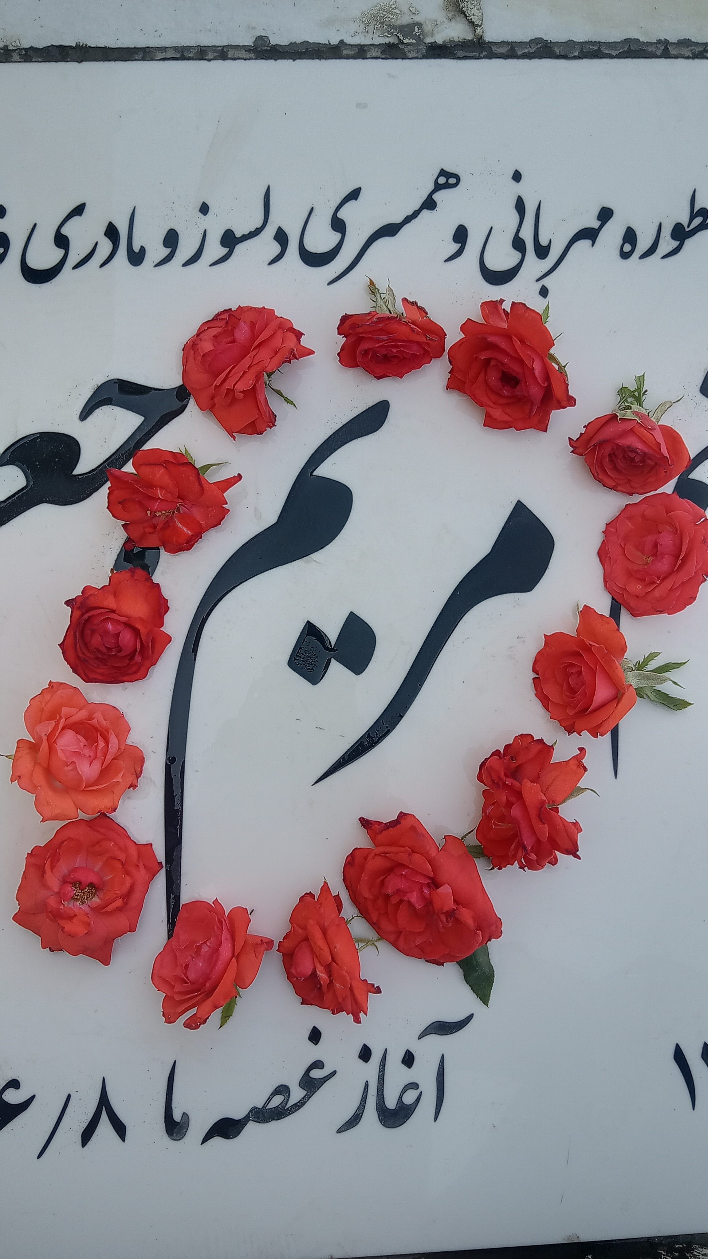 تصویری از مریم جعفر